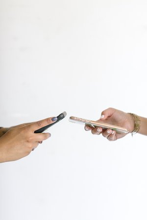  https://business-babes-collective.mykajabi.com/organic-growth 